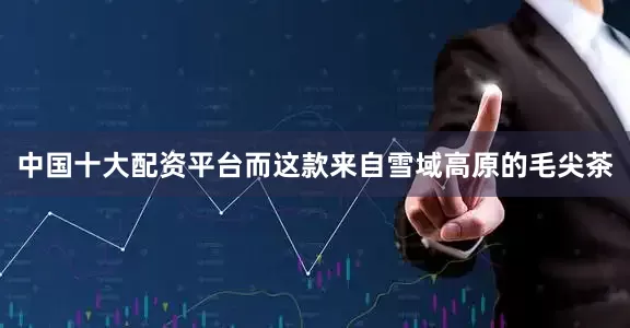 中国十大配资平台而这款来自雪域高原的毛尖茶