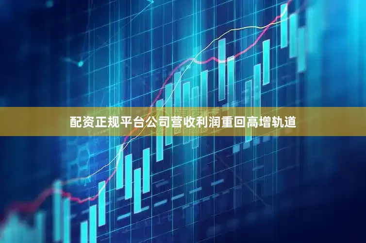 配资正规平台公司营收利润重回高增轨道