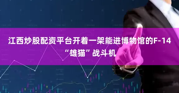 江西炒股配资平台开着一架能进博物馆的F-14“雄猫”战斗机